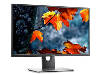 Dell P2417H 24" LED 1920x1080 IPS D-SUB HDMI Černý monitor třídy A