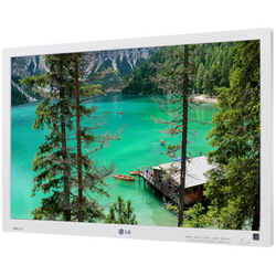 Монітор LG 24EB23PY 24" LED 1920x1200 IPS DVI DisplayPort Білий Без Підставки Клас A (PZ)