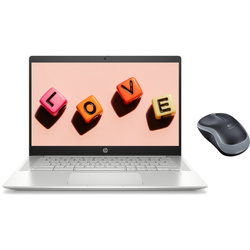 Touchscreen HP Chromebook Pro c640 i5-10310U 64GB eMMC 8GB 1920x1080 Klasse A- Chrome OS