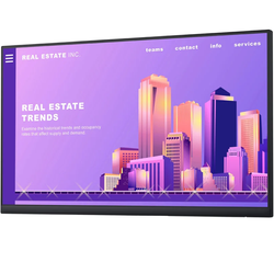 Dell Monitor P2422H 24" LED 1920x1080 IPS HDMI VGA Ohne Standfuß Klasse A