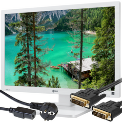 Monitor LG 24EB23PY 24" LED 1920x1200 IPS DVI DisplayPort Biały Klasa A (PZ) +Okablowanie