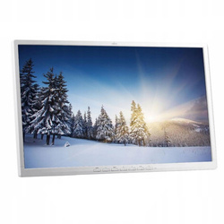Fujitsu Monitor B24-8 TE PRO 24" IPS 1920x1080 LED White Without Stand Class A