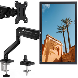 LG Monitor 24MB37PM 24" LED 1920x1080 IPS VGA DVI Black BP Class A + Triadyn FlexMount bracket