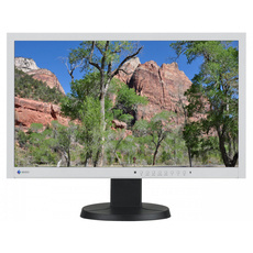 Eizo EV2335W 23" IPS Monitor 1920x1080 LED DisplayPort Class A (PZ)