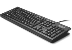 HP KU-1516 USB QWERTY Office Keyboard Aesthetic Black