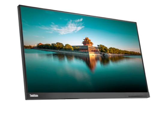 Lenovo ThinkVision P24H-10 24" LED 2560x1440 DisplayPort Without Stand Class A-