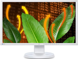 Monitor EIZO EV2316W 23" LED 1920x1080 TN D-SUB DisplayPort Blanco Clase A-