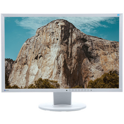 Monitor EIZO EV2416W 24" LED 1920x1200 DisplayPort Blanco Clase A