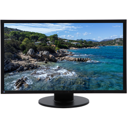 Monitor EIZO EV2316W 23" LED 1920x1080 TN DisplayPort Negro