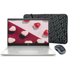 HP Chromebook Pro c640 tactile i5-10310U 8 Go 64 Go eMMC 1920x1080 Classe A- Chrome OS + Souris Logitech + Sac HP