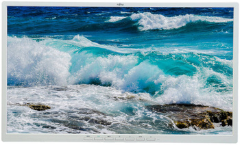 Moniteur Fujitsu B24-8 TE PRO 24" IPS 1920x1080 LED Blanc Sans Support Classe A