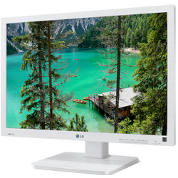 Moniteur LG 24EB23PY 24" LED 1920x1200 IPS DVI DisplayPort Blanc Classe A (PZ)