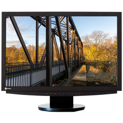 Moniteur Eizo FlexScan S2411W 24" 1920x1200 DVI Noir Classe A