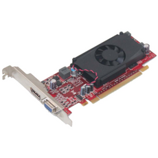 Carte graphique NVIDIA GeForce 310 512MB DDR3 High Profile