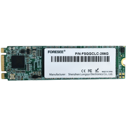 SSD disk FORESEE 256GB M.2 SATA FSGGCLC-256G