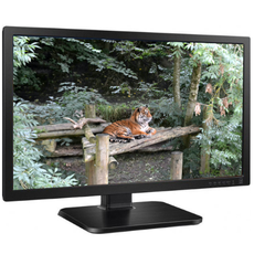 24" Monitor Mix Class A-