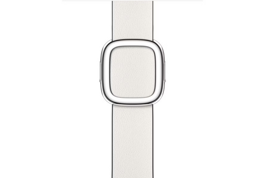 Original Apple Modern Buckle Wisteria 41mm Strap Size S