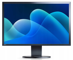 Monitor EIZO EV2416W 24" LED 1920x1200 DisplayPort Negro Clase A