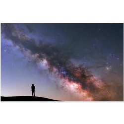 Monitor EIZO FlexScan EV2456 24" IPS 1920x1200 LED HDMI Weiß Ohne Standfuß Klasse A