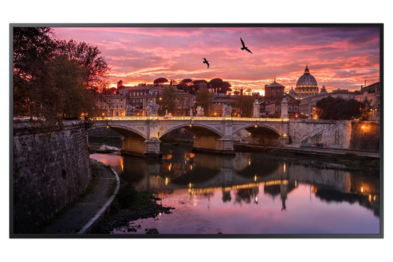 Ausstellungsmonitor Samsung QB55R 55" LED VA 3840x2160 Schwarz Ohne Standfuß