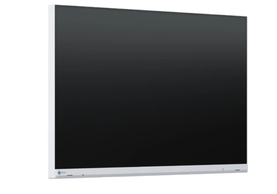 Монітор EIZO FlexScan EV2460 24" IPS 1920x1080 LED HDMI Білий Без Підставки Клас A