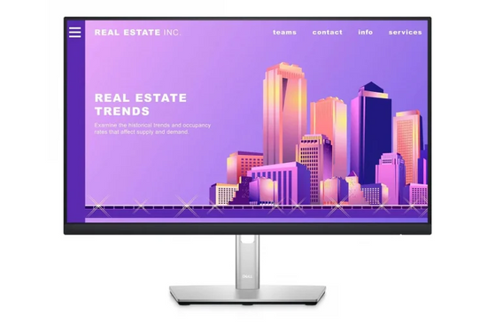 Dell P2422H 24" LED 1920x1080 IPS HDMI VGA Monitor di classe A + supporto NN