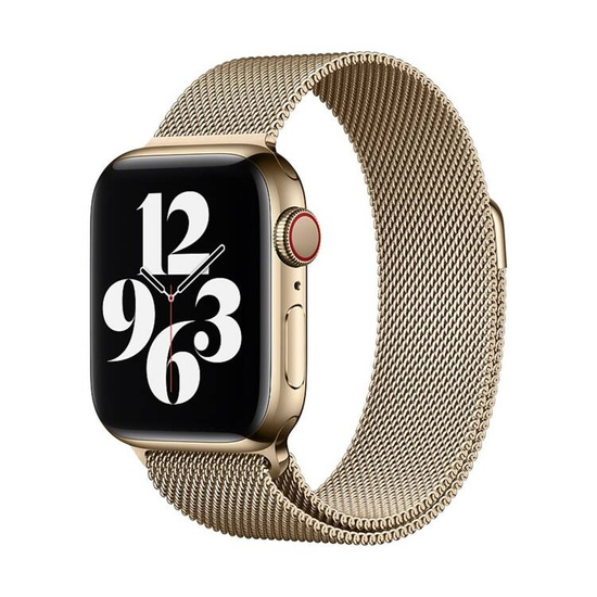 Originale Apple Orologio con cinturino Milanese Silver 40mm Acciaio inossidabile Oro