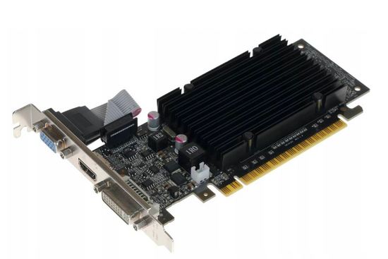 Scheda grafica EVGA GeForce 210 1GB DDR3 64-bit 01G-P3-1313-KR ad alto profilo