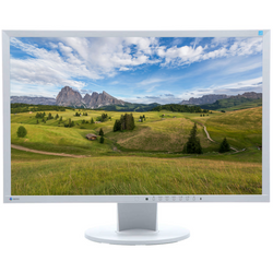 EIZO EV2216W Moniteur LED 22" 1680x1050 TN DisplayPort Blanc