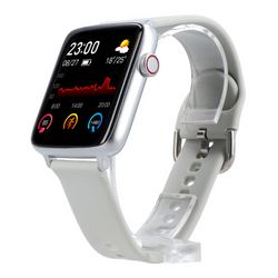 Nouvelle montre intelligente GlacierX Rhea Silver GX-RS19