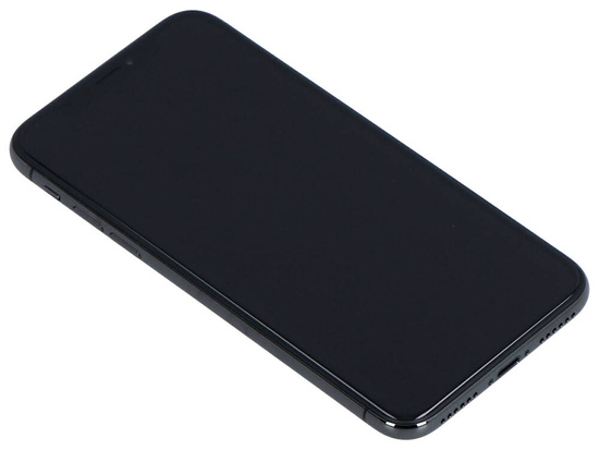 Apple iPhone X A1901 3GB 256GB Space Gray Klasse A- iOS