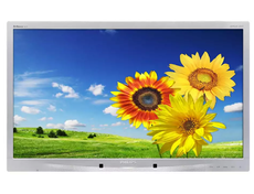 Philips 241PQPYK 24" LED 1920x1080 MVA DisplayPort DVI Silver без підставки Клас A