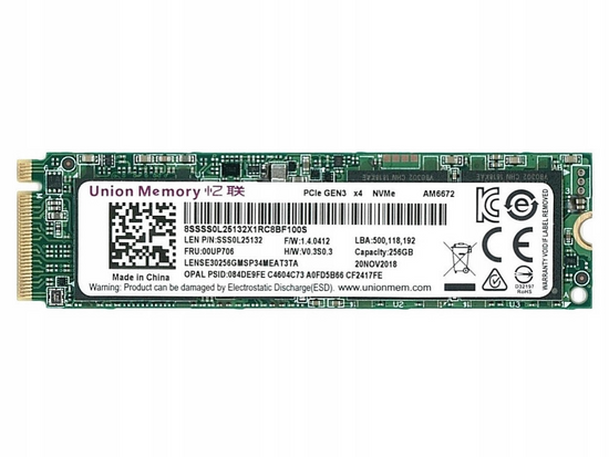 Union Memory LENSE30256GMSP34MEAT3TA 256GB M.2 PCIe SSD