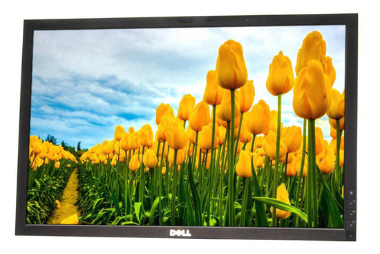 Moniteur Dell E2209W 22" 1680x1050 DVI D-SUB Noir Sans support Classe A