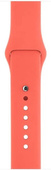 Original Apple Watch Solo Band 38mm S/M, M/L Apricot en emballage scellé