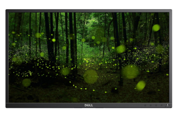 Dell P2417H LED 1920x1080 IPS DisplayPort HDMI Schwarz Ohne Ständer Klasse A-
