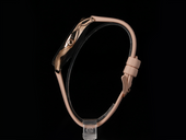 Neue Smartwatch GlacierX Sphere Rose Gold + Mesh-Armband + Schutzfolie
