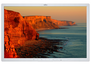 Monitor Fujitsu B24W-7 24" LED 1920x1200 IPS DisplayPort Biały Bez Podstawki Klasa A-