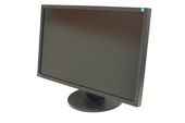 EIZO EV2416W Moniteur 24" LED 1920x1200 DisplayPort Noir Classe A