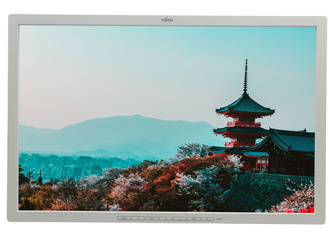 Monitor Fujitsu Siemens B24W-6 24" 1920x1200 LED Biały (PZ) Bez Podstawki Klasa A