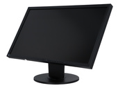 Monitor EIZO EV2316W 23" LED 1920x1080 TN DisplayPort Negro