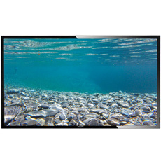 Монітор Philips BDL4220QL 42" 1920x1080 HDMI Чорний Без Підставки Клас A-