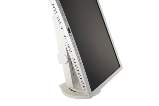 Monitor Eizo FlexScan EV2313W 23" 1920x1080 DP DVI Bianco
