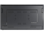 Moniteur NEC MultiSync E558 55" 3840x2160 IPS LED HDMI Classe A BOÎTE