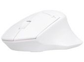 Nuovo Set Ufficio Wireless Triadyn ALYA Tastiera SKATHI e Mouse GREIP 1600 DPI Bianco