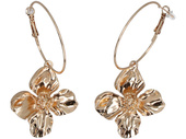 Gold Clover Earrings