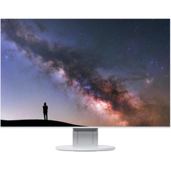 Монітор EIZO FlexScan EV2456 24" IPS 1920x1200 LED HDMI Білий Клас A (ПЗ)