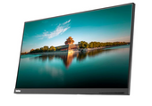 Lenovo ThinkVision P24H-10 24" LED 2560x1440 DisplayPort Sans support Moniteur de classe A