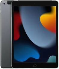 Apple iPad 9 Cellular A2604 3GB 64GB Space Grau Ist-Zustand iOS