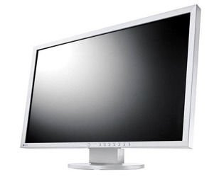 EIZO EV2216W 22" LED монітор 1680x1050 TN DisplayPort Білий